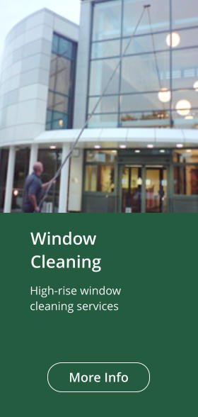 Window Cleaning High-rise window cleaning services More Info